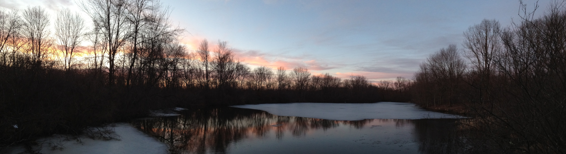organic digital logo on top of an image of grass and mountains on a sunny day