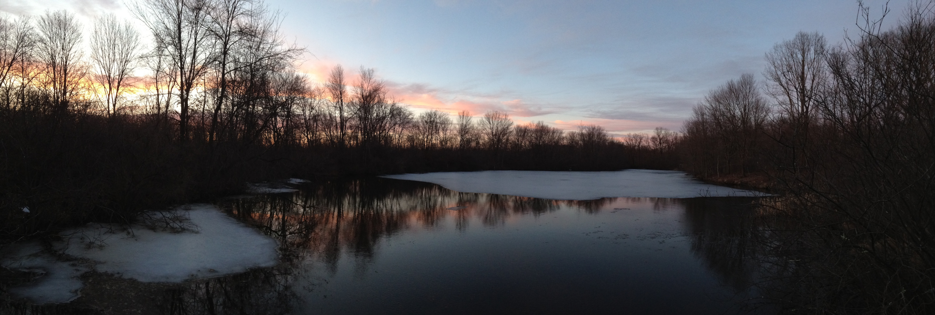organic digital logo on top of an image of grass and mountains on a sunny day